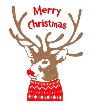 Euroscrubby Christmas Reindeer Dishcloth