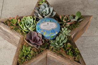 Rustic Star Reclaimed Wood Planter