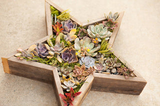 Rustic Star Reclaimed Wood Planter