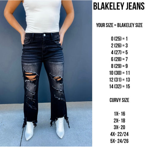 Blakeley Black Urban Distressed Crop Jean
