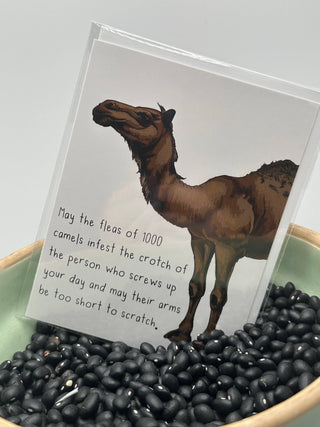 May the Fleas Greeting Card